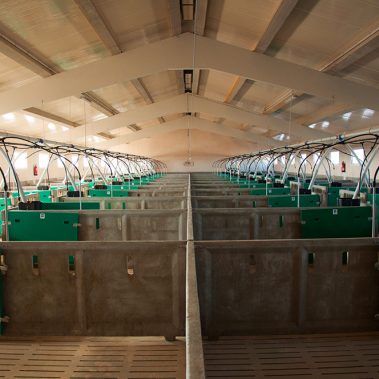 construcciones tradesa Ágreda