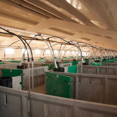 construcciones tradesa Ágreda